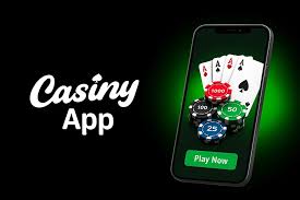 Experience the Thrill of Gaming at Casiny Casino 31